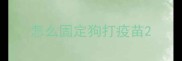 怎么固定狗打疫苗