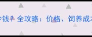 六个月大金毛犬多少钱全攻略价格饲养成本健康与购买建议