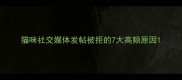 猫咪社交媒体发帖被拒的7大高频原因