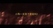 小狗一关笼子里就叫