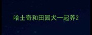 哈士奇和田园犬一起养