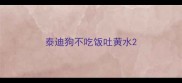 泰迪狗不吃饭吐黄水