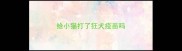 给小猫打了狂犬疫苗吗