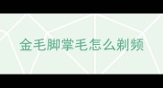 金毛脚掌毛怎么剃频