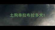 土狗串拉布拉多犬