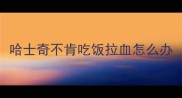 哈士奇不肯吃饭拉血怎么办
