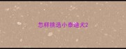 怎样挑选小泰迪犬