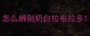 怎么辨别奶白拉布拉多