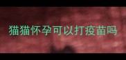 猫猫怀孕可以打疫苗吗