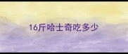 16斤哈士奇吃多少