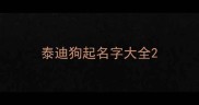 泰迪狗起名字大全