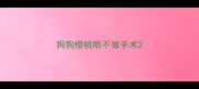狗狗樱桃眼不做手术