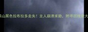 急寻莱山黑色拉布拉多走失主人崩溃求助附寻回线索大公开