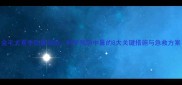 金毛犬夏季防暑指南科学预防中暑的8大关键措施与急救方案