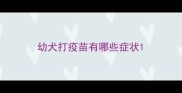 幼犬打疫苗有哪些症状