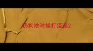 奶狗啥时候打疫苗
