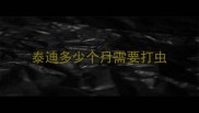 泰迪多少个月需要打虫