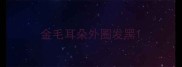 金毛耳朵外圈发黑