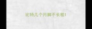 比特几个月脚不长粗