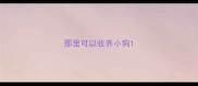 那里可以收养小狗