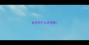 金毛吃什么天然粮