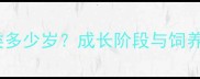 8个月大哈士奇相当于人类多少岁成长阶段与饲养要点附科学养护指南