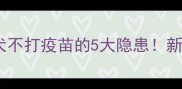 萨摩耶幼犬不打疫苗的5大隐患新手养狗必看