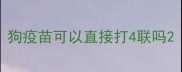 狗疫苗可以直接打4联吗
