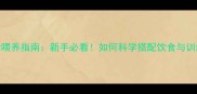 4个月雪纳瑞科学喂养指南新手必看如何科学搭配饮食与训练养成健康萌宠