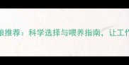 边牧增肥专用狗粮推荐科学选择与喂养指南让工作犬恢复健康体态