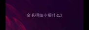 金毛得细小喂什么