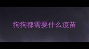 狗狗都需要什么疫苗