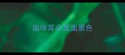 猫咪耳朵里面黑色