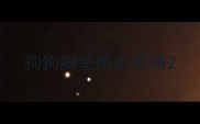 狗狗脚垫用剃毛嘛