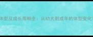 哈士奇标准体型及成长周期全从幼犬到成年的体型变化与饲养要点