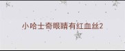 小哈士奇眼睛有红血丝