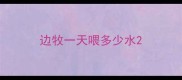 边牧一天喂多少水