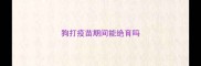 狗打疫苗期间能绝育吗