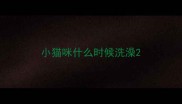 小猫咪什么时候洗澡