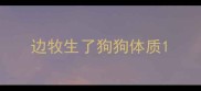 边牧生了狗狗体质