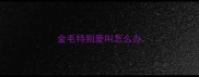 金毛特别爱叫怎么办
