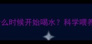 两个月大的小狗什么时候开始喝水科学喂养指南与常见误区