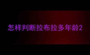 怎样判断拉布拉多年龄