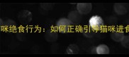 科学纠正猫咪绝食行为如何正确引导猫咪进食不靠惩罚