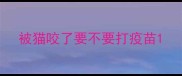 被猫咬了要不要打疫苗