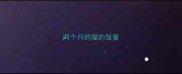 两个月的猫的饭量