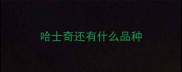 哈士奇还有什么品种