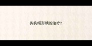 狗狗蠕形螨的治疗