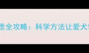 拉布拉多分离焦虑全攻略科学方法让爱犬学会独立分房睡