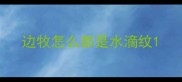 边牧怎么都是水滴纹
